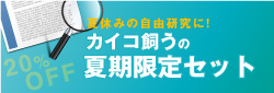 夏期限定販売！カイコ飼う販売セット