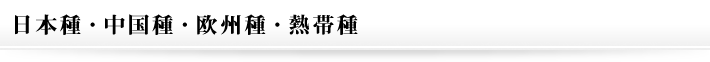 日本種・中国種・欧州種・熱帯種