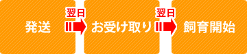 注文の流れ：発送、お受け取り