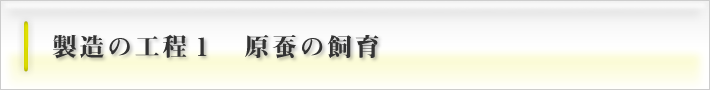 製造の工程1　原蚕の飼育