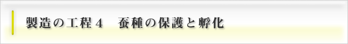 製造の工程4　蚕種の保護と孵化