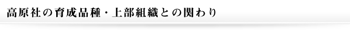 高原社の育成品種・上部組織との関わり